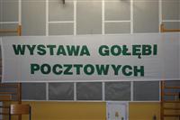 Pokaż zdjęcie w powiększeniu Gołębie zdjęcie